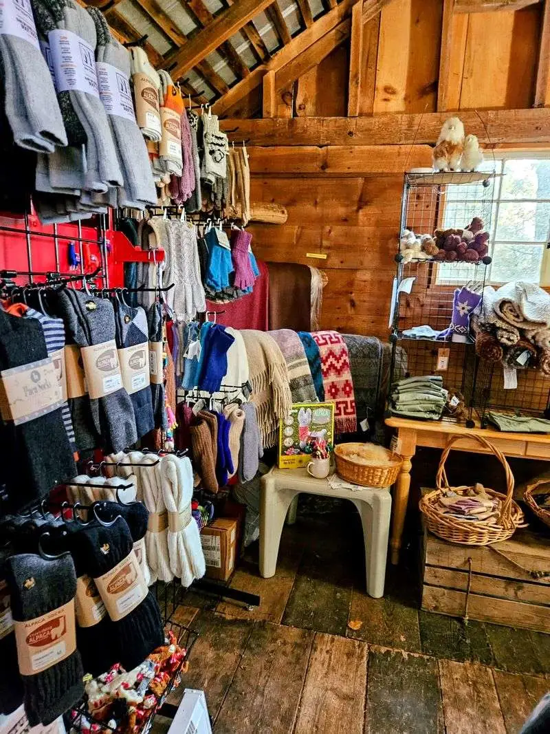 Gift Shop Highlights