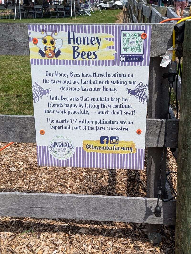Bee-friendly beauty: safety, pollinators, and respect for the fields