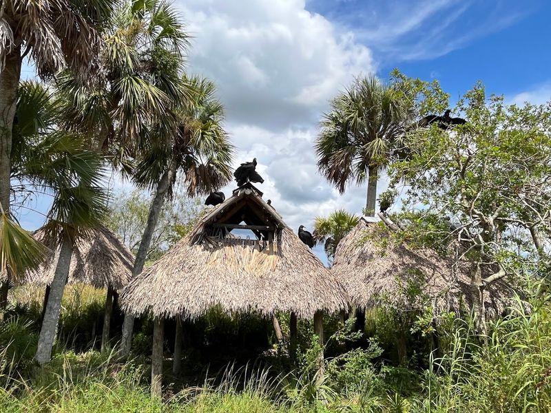 Cultural History and Seminole Heritage