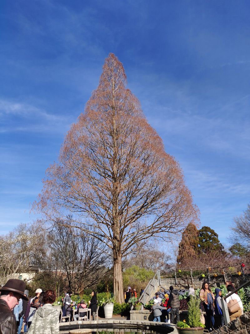 When to Visit: Seasons and Crowds