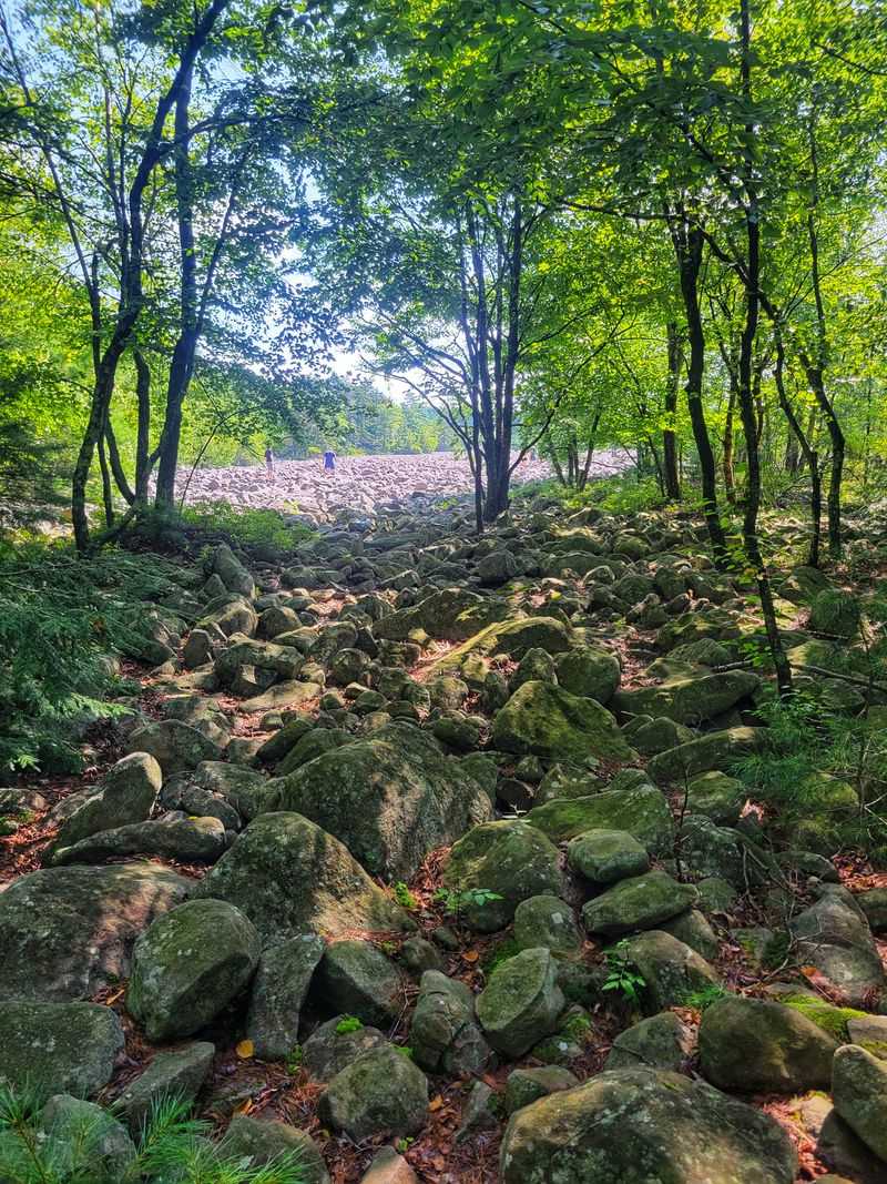 Hiking Options: Boulder Field Trail And Alternatives