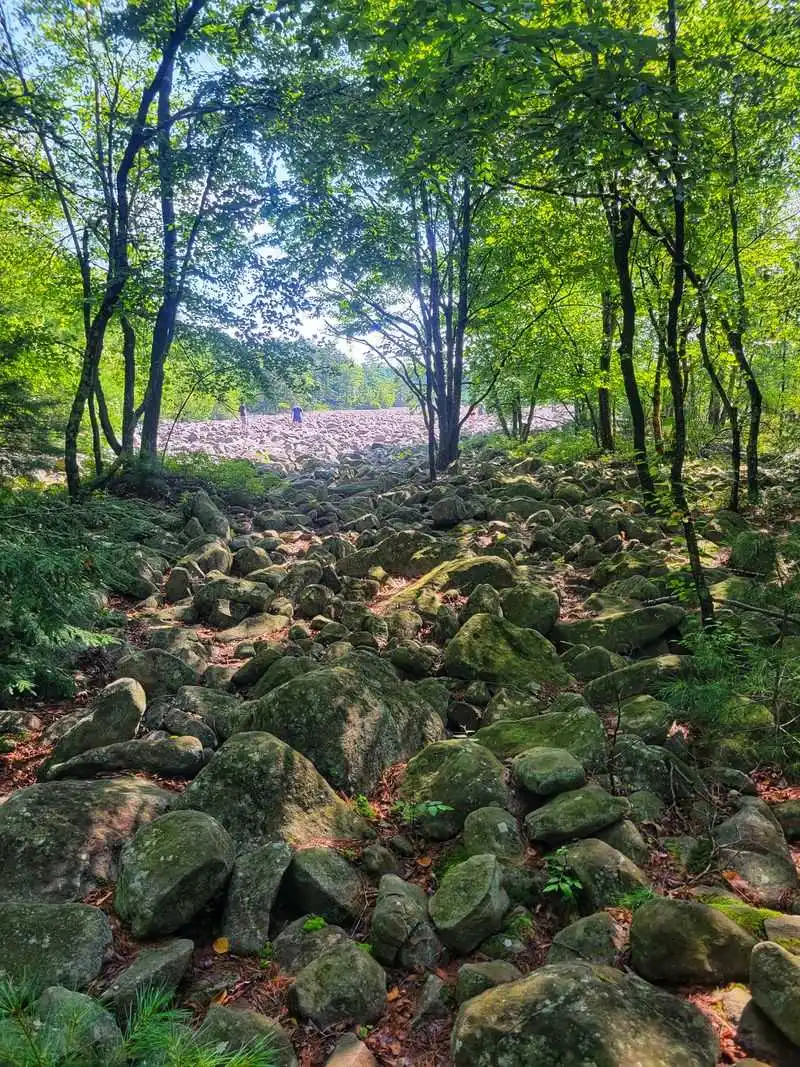 Hiking Options: Boulder Field Trail And Alternatives