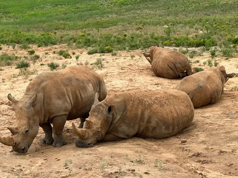 Conservation Mission and What Your Visit Supports