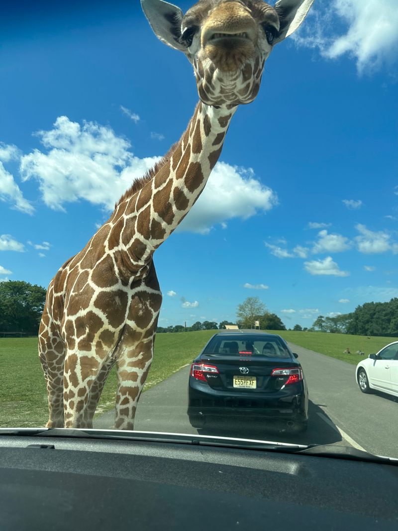 What to Pack Beyond the Basics