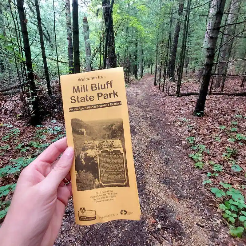 Practical Essentials: Bugs, Noise, and Safety