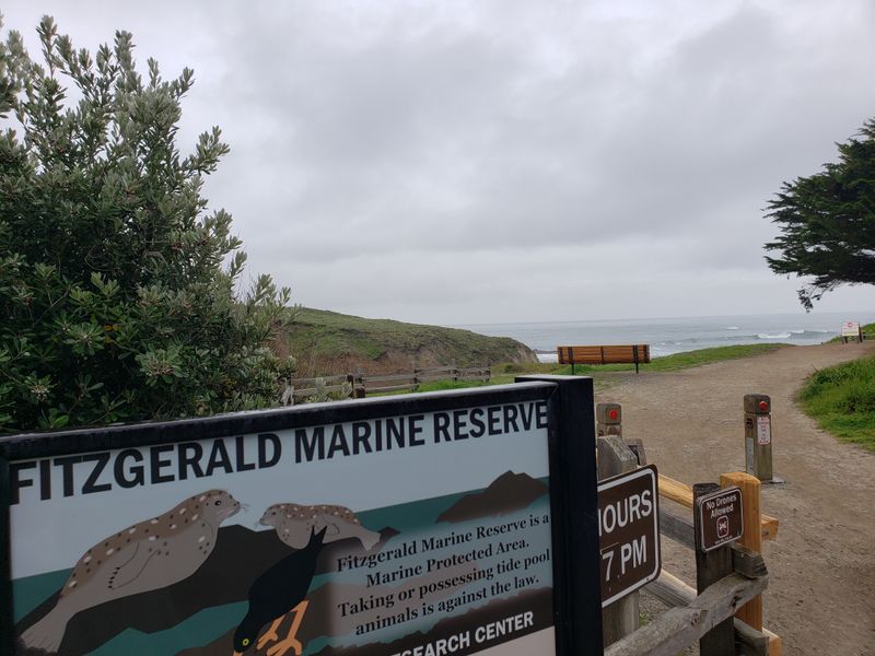 Accessibility, Parking, and Hours