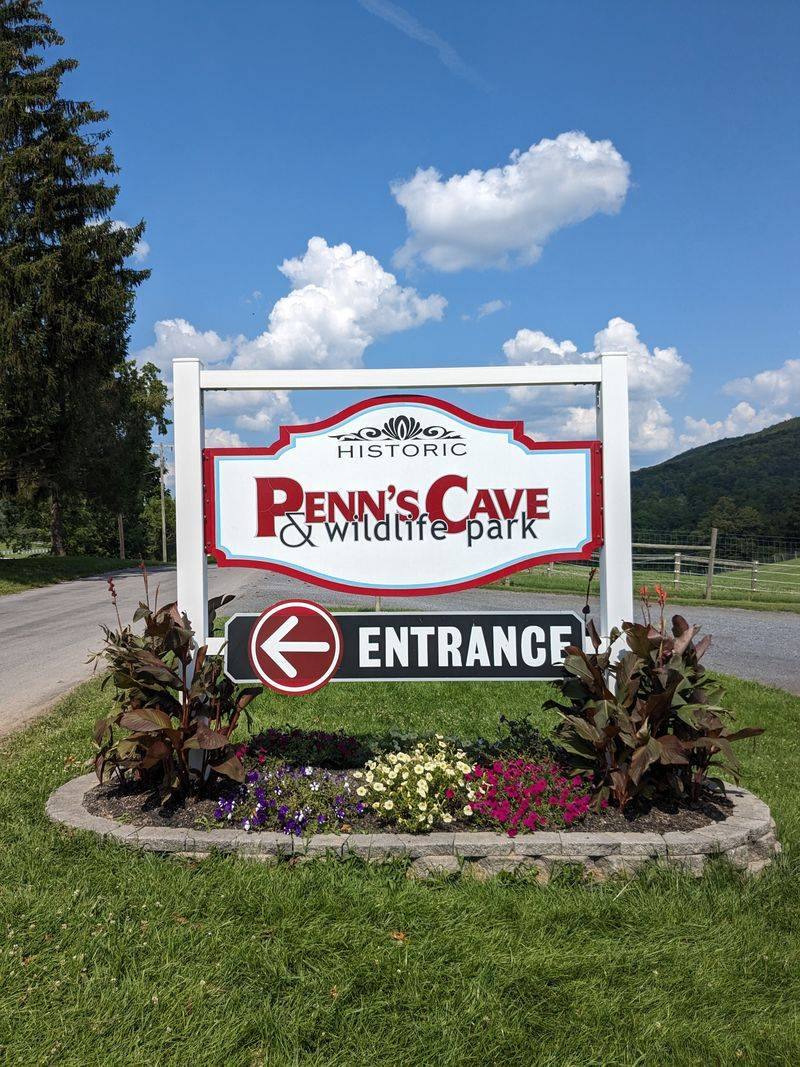 Accessibility and Comfort Notes