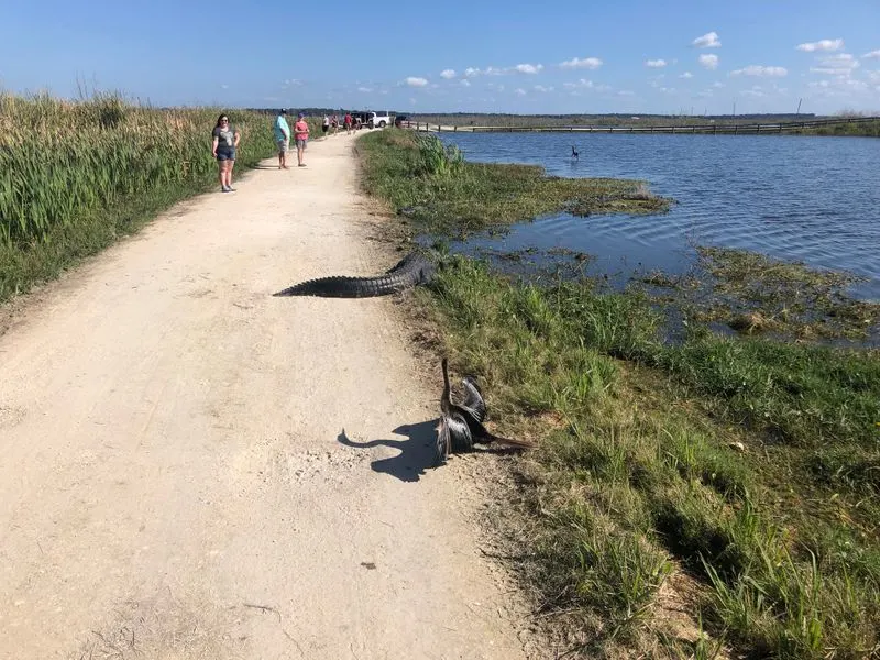 Accessibility and who should visit