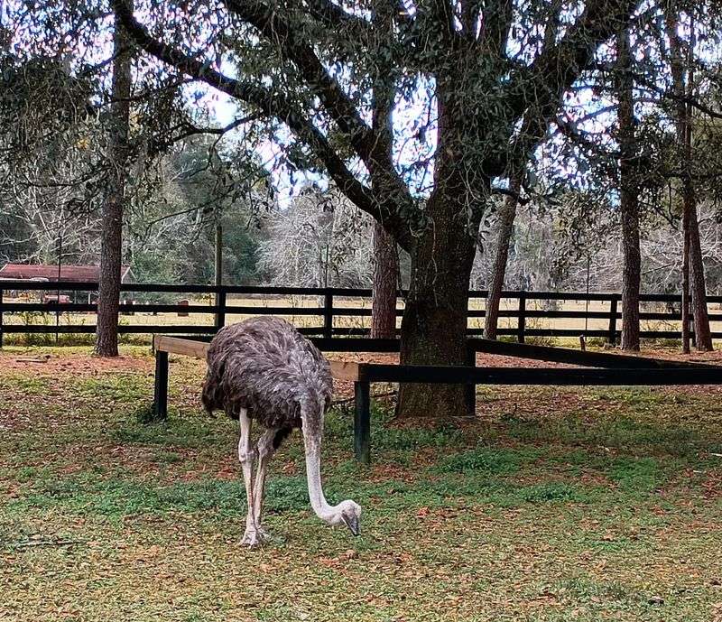 Planning your route and nearby essentials