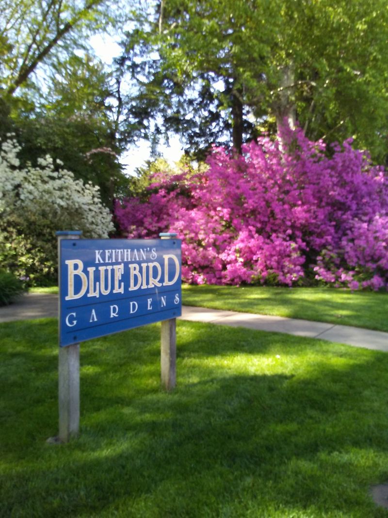 Accessibility notes and gentle pacing