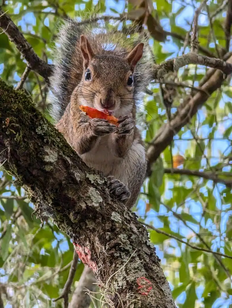 Nature Trails And Wildlife Viewing