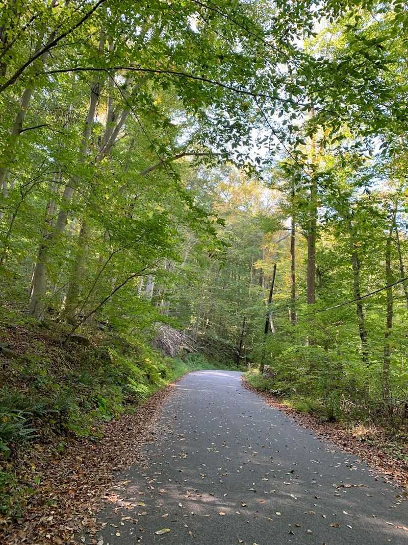 The Paved Multi-Use Trail Loop