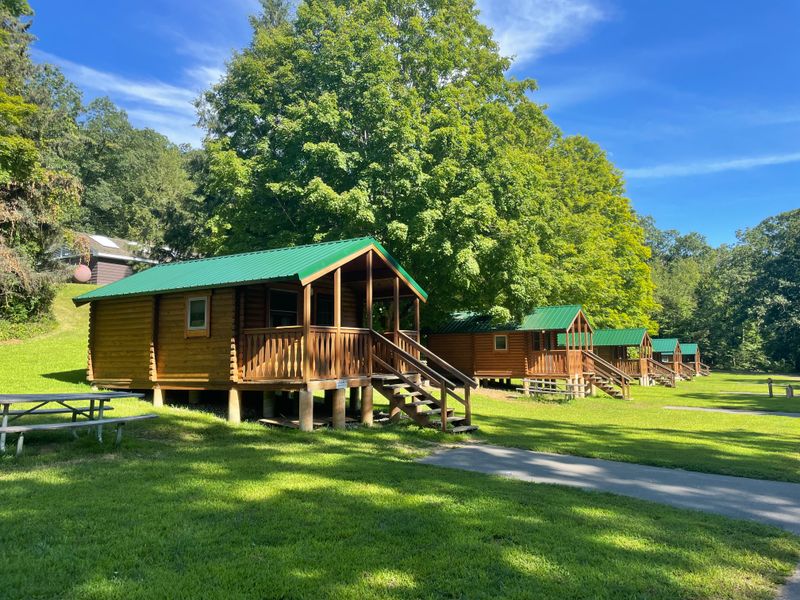 Wildlife Observation