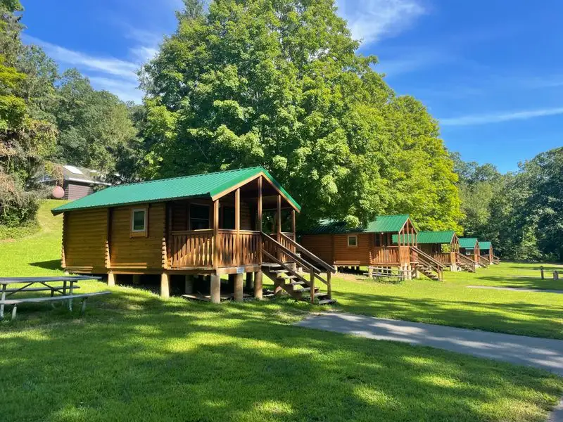 Wildlife Observation