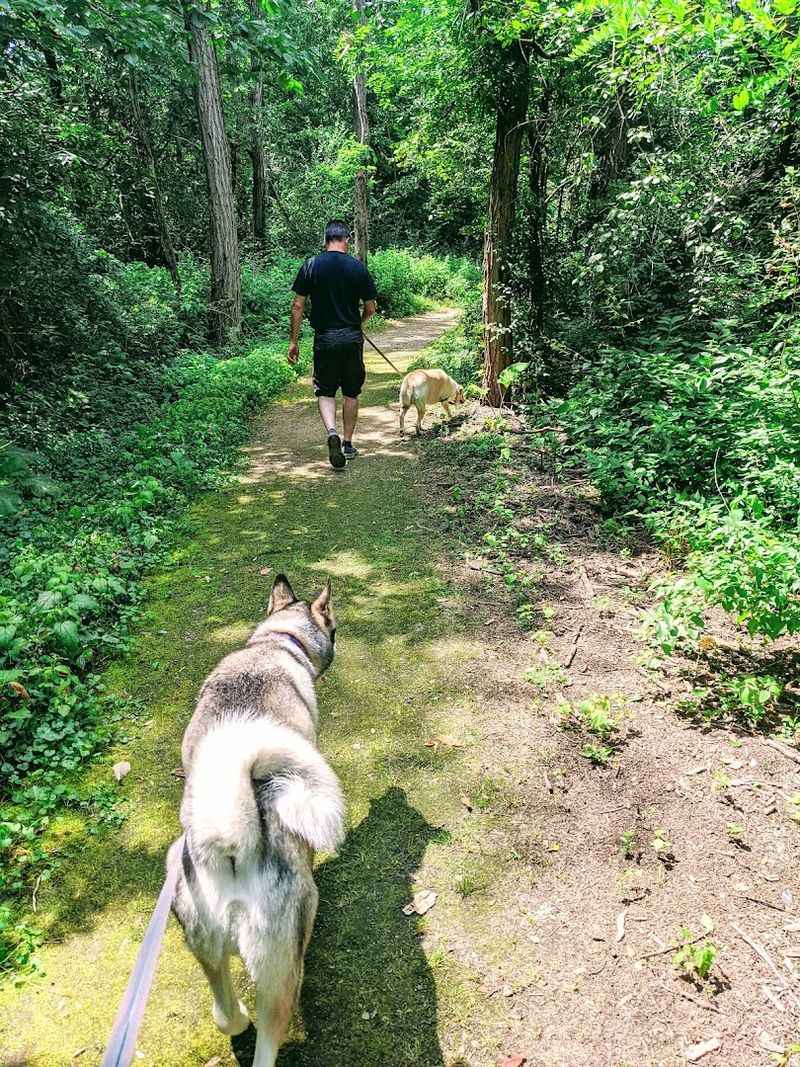 Hiking Trails Through Nature