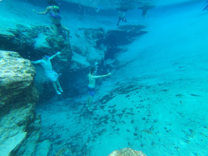 Snorkeling in the Springs