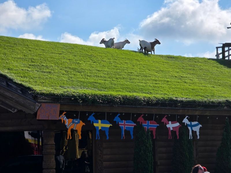 Al Johnson’s Goats on the Roof — Sister Bay, WI