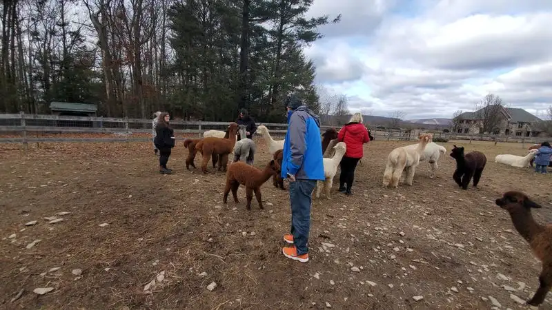 Meet Mary And The Farm&rsquo;s Story
