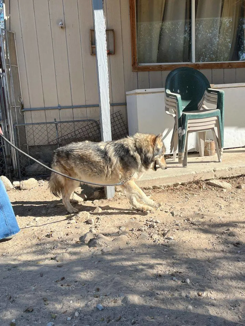 Experience the Desert Environment