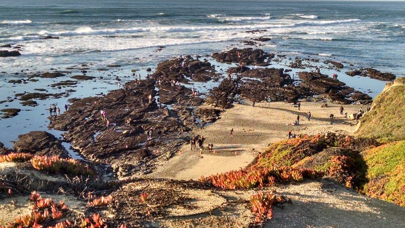 Guided Ranger Walks: What To Expect