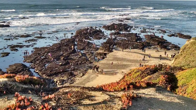 Guided Ranger Walks: What To Expect