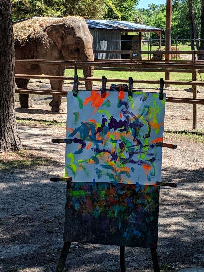 Making the most of your visit