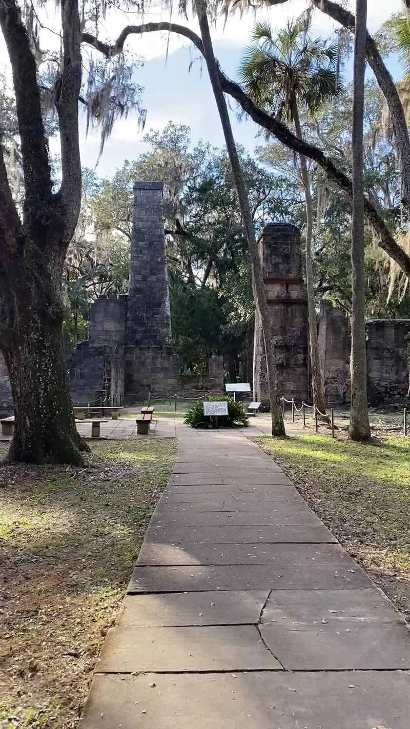 Sunset Exit Through the Oaks