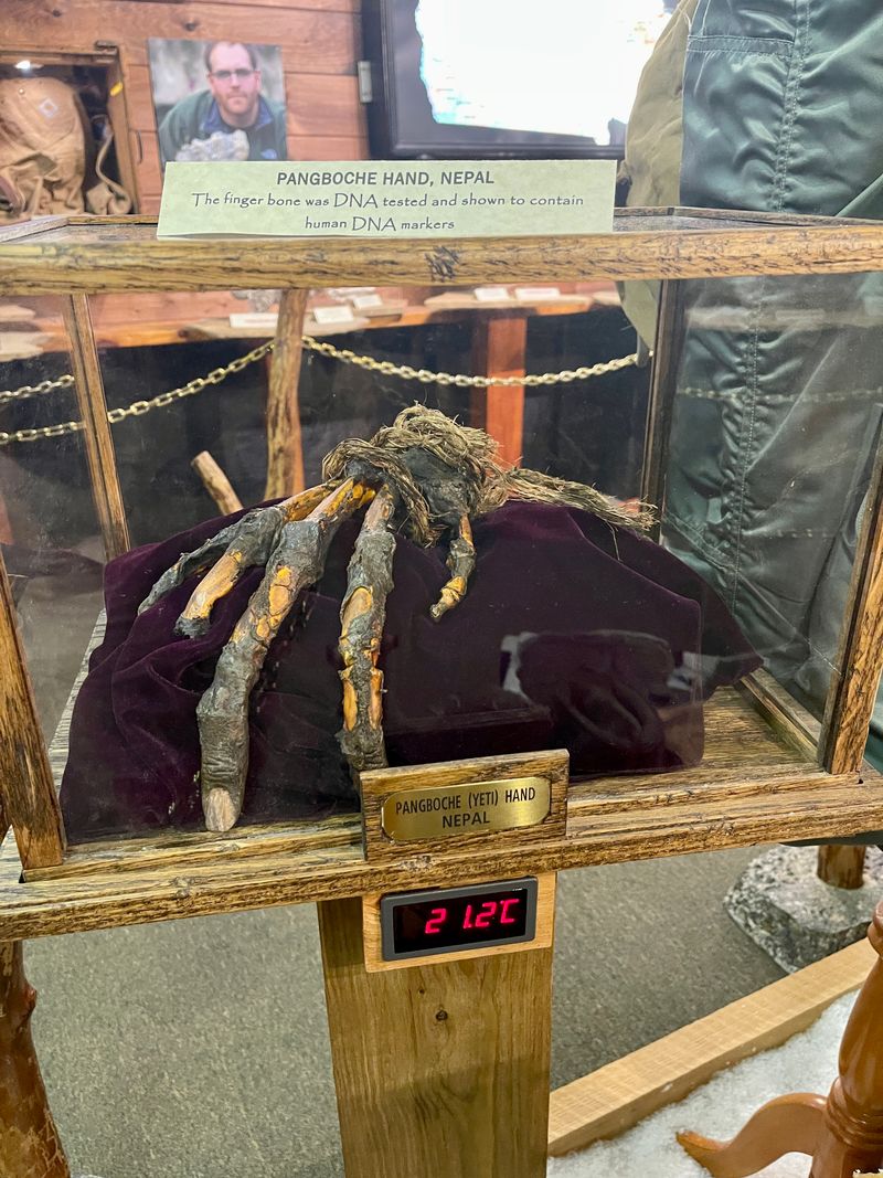 Who enjoys this museum and who might skip it