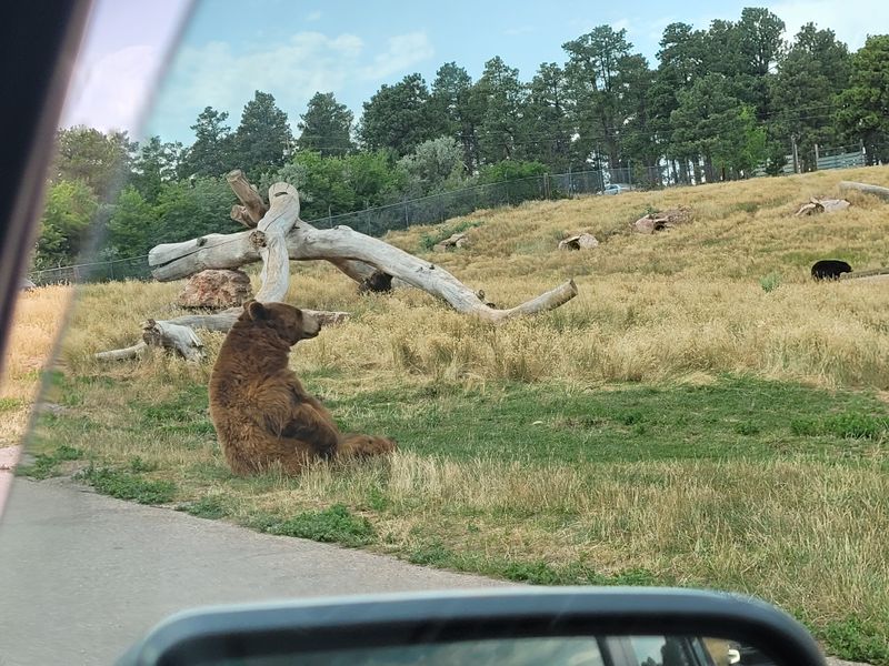 Tickets, vehicle limits, and pricing notes