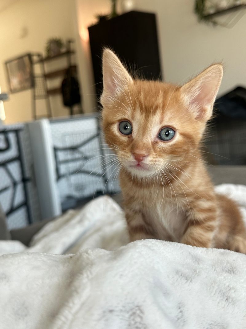 Booking, hours, and how timing shapes the vibe