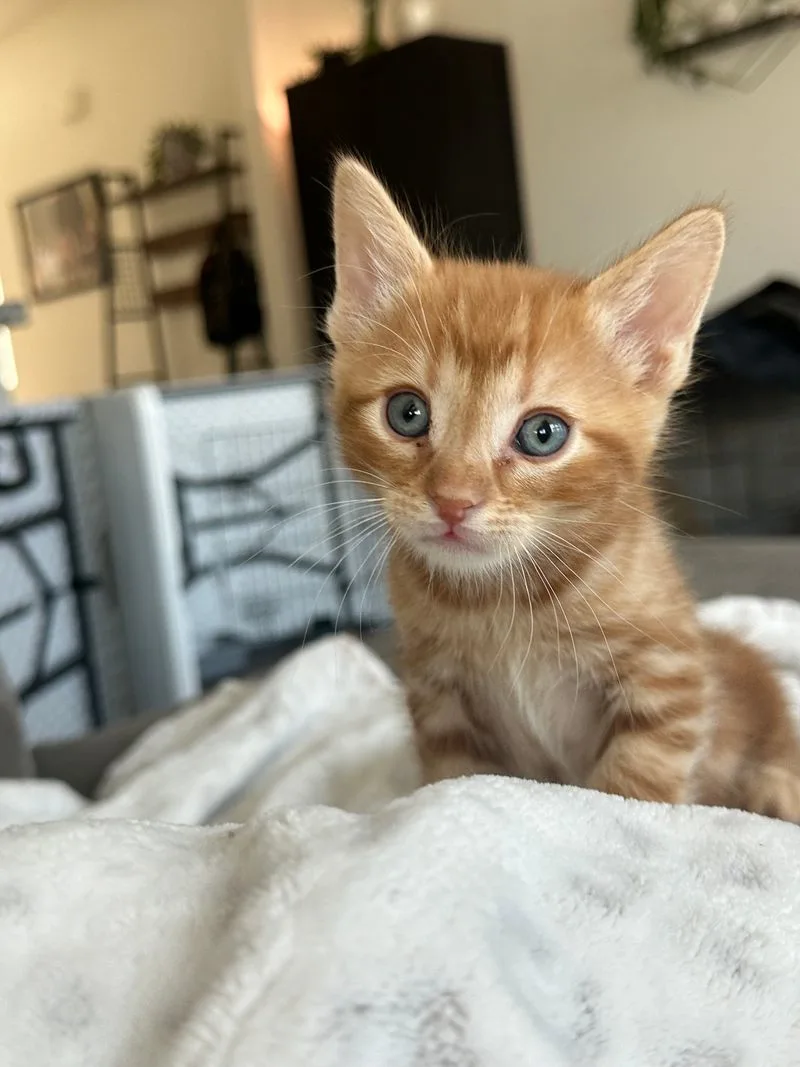 Booking, hours, and how timing shapes the vibe