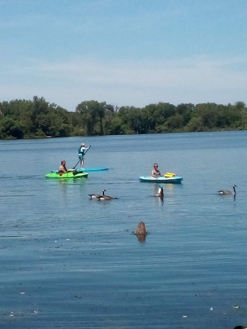 Bay-Side Lagoons: Kayaking, SUP, And Quiet Water