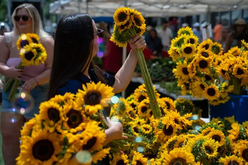 Local Farmers at the Core