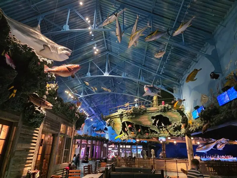 The Jaw-Dropping Underwater Theme and Decor