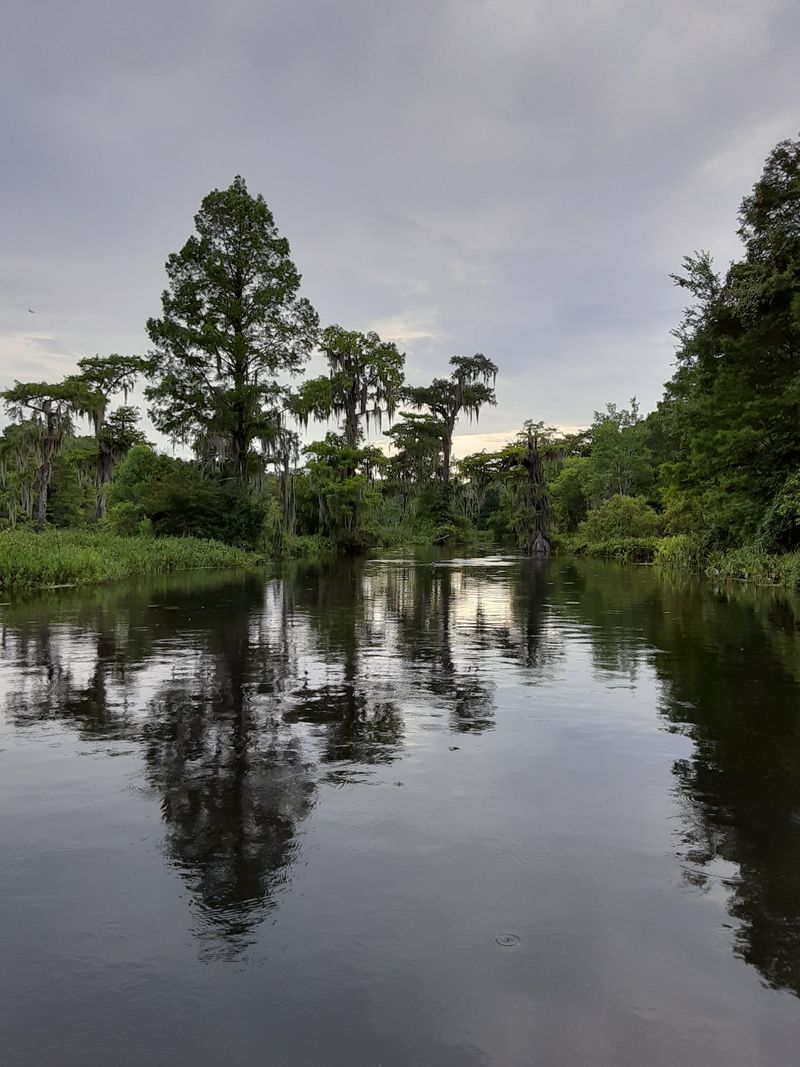 Wakulla River &ndash; Wakulla Springs, FL
