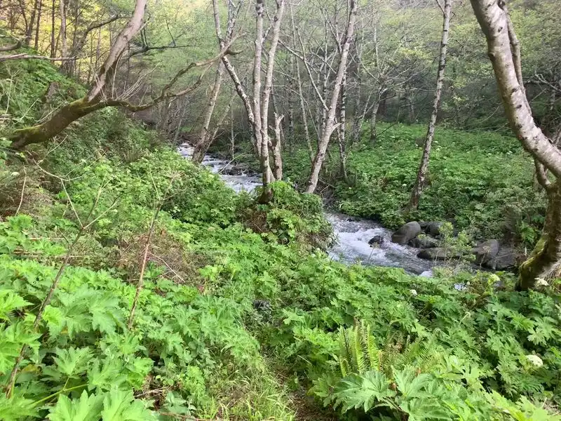 Floating Through Tide Pools at Shipman Creek