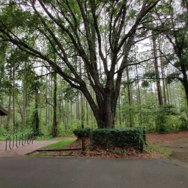 Trail Access and Amenities