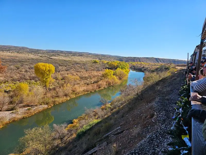 Wildlife Watching: Raptors, River, and Quiet Surprises