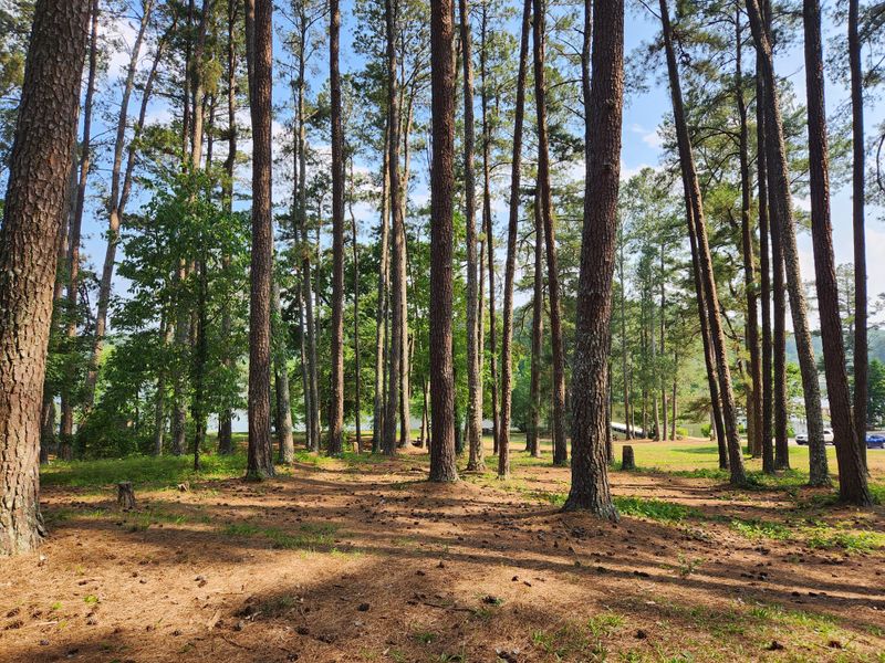 Fort Yargo State Park Campground &mdash; Winder, GA