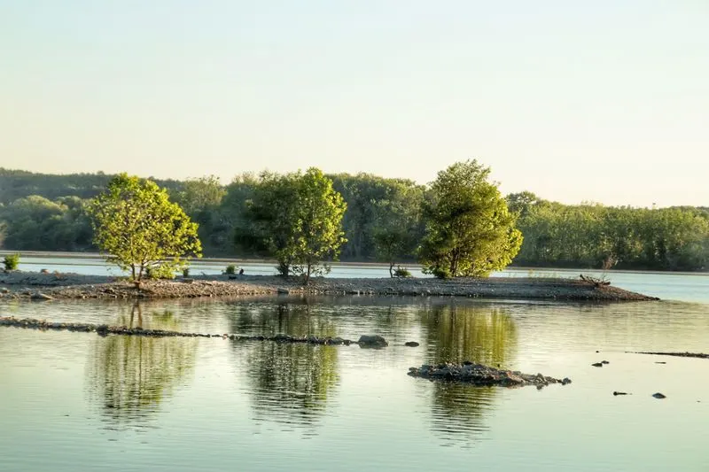 Nature Observation Opportunities