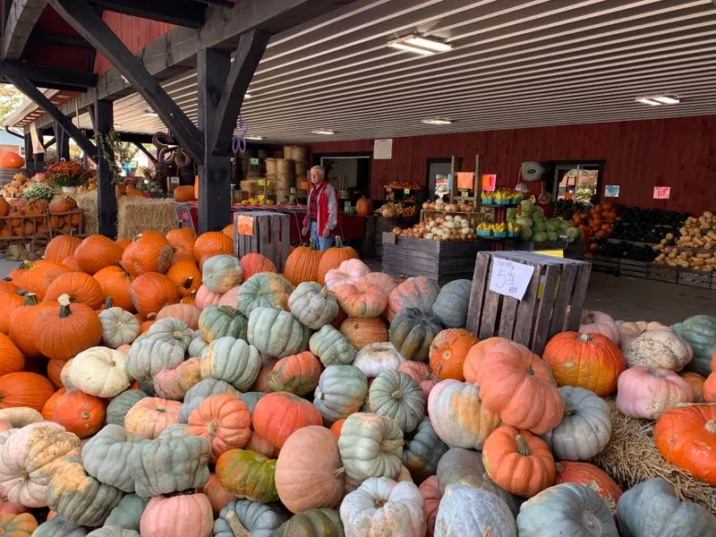 Classic Fall Destination