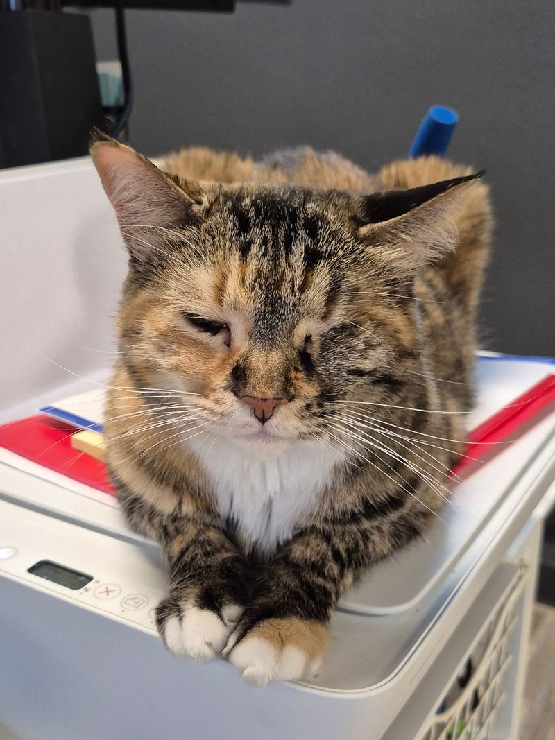 Community impact beyond the lounge