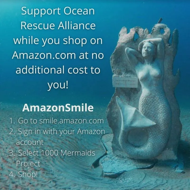 How to support the project long after your dive