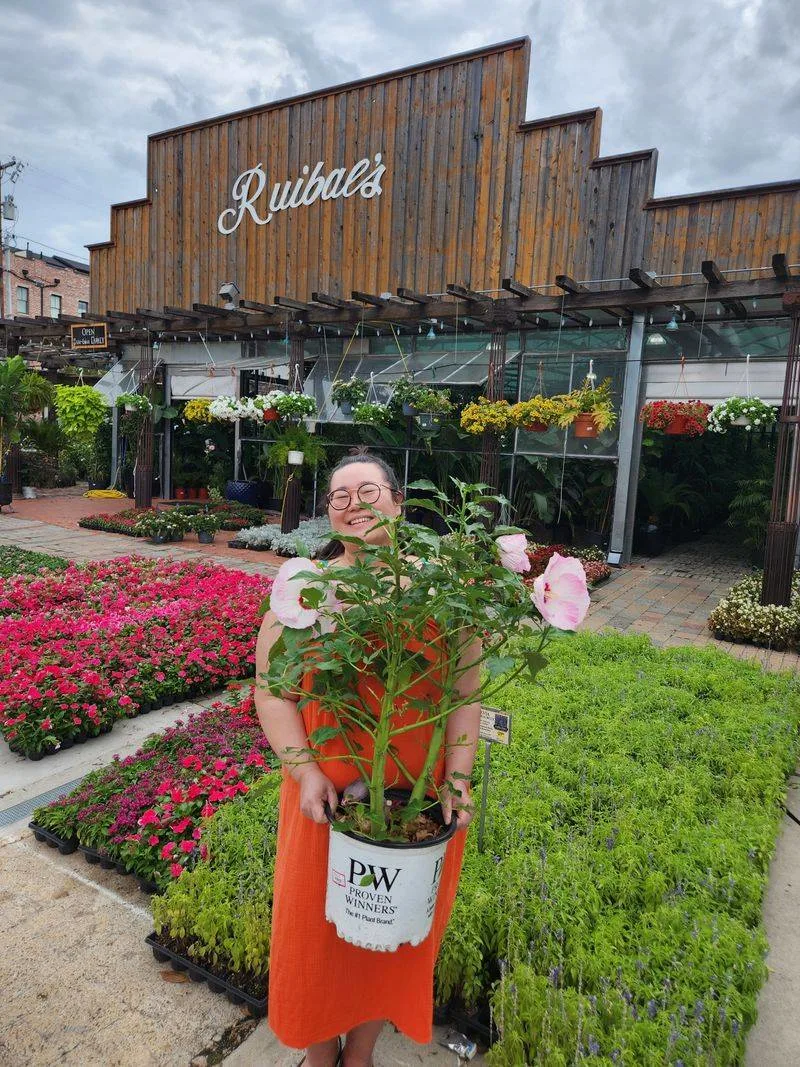Seasonal flowers and tulips