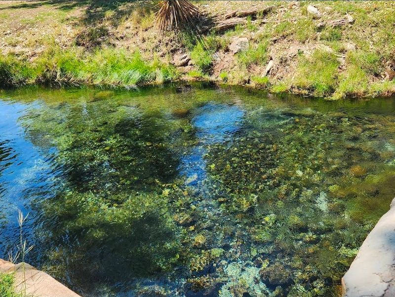 A Haven for Wildlife