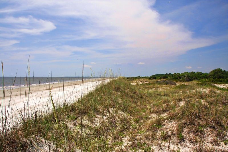 Sapelo Island