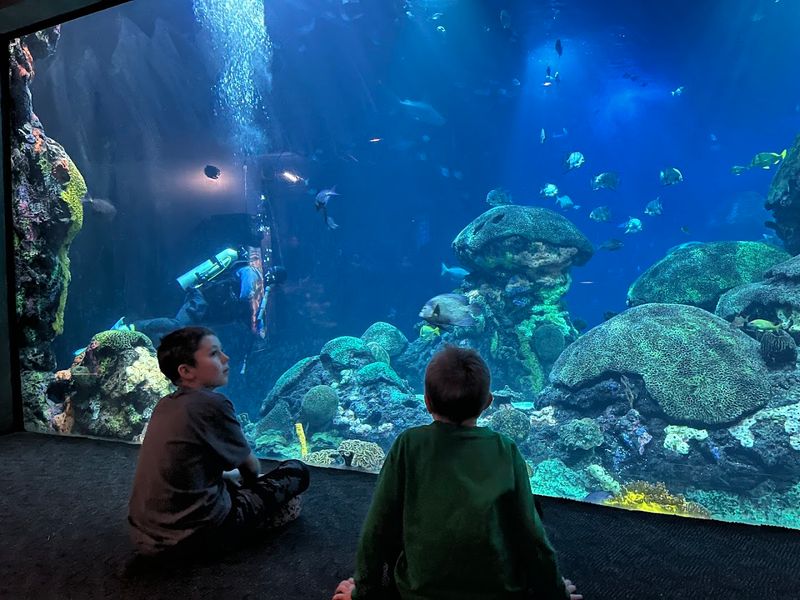 Tennessee Aquarium &ndash; Underwater Storybook Worlds