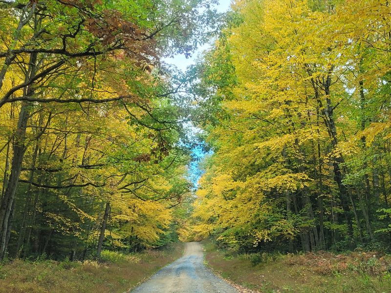 Bird Watching Opportunities