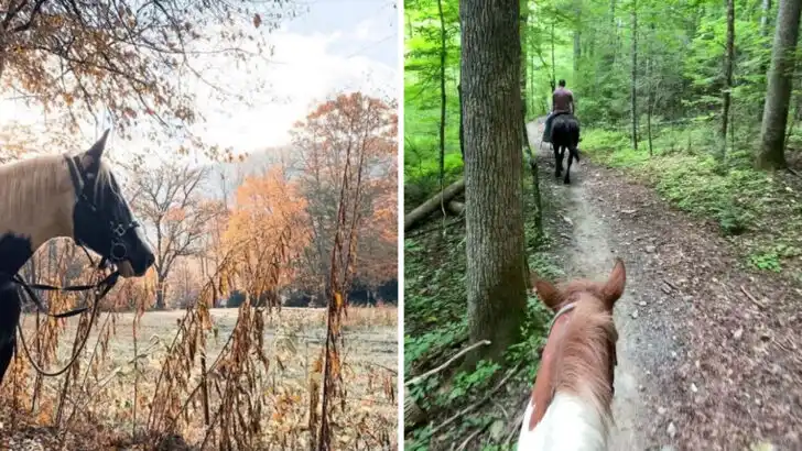Saddle Up in North Carolina and Ride Horseback to Smoky Mountain Waterfalls