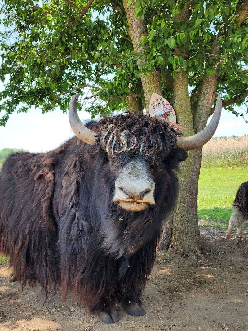 Educational Wildlife Excursion